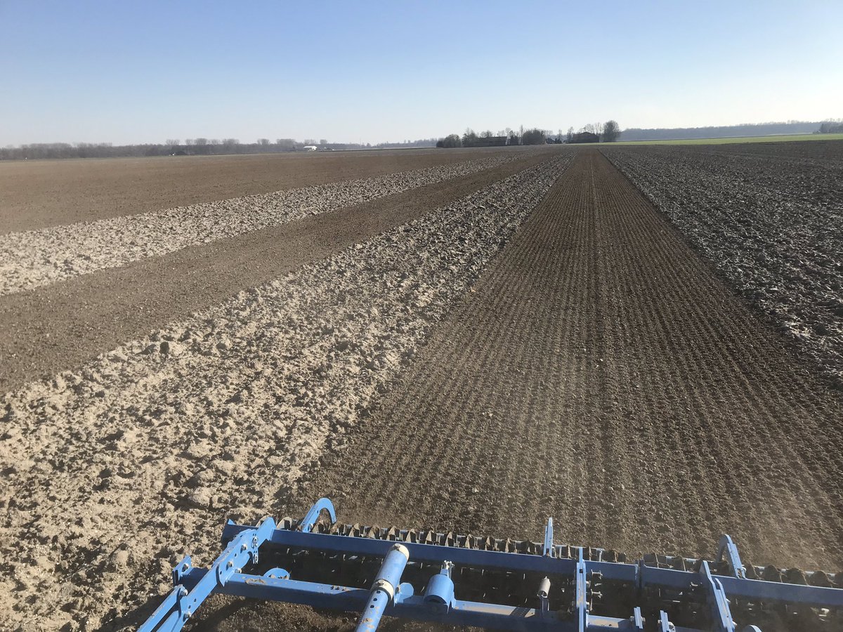 BlitAgro's tweet image. Eerste ronde peen en uien gaan er ook in vandaag. #bangor #hyfive