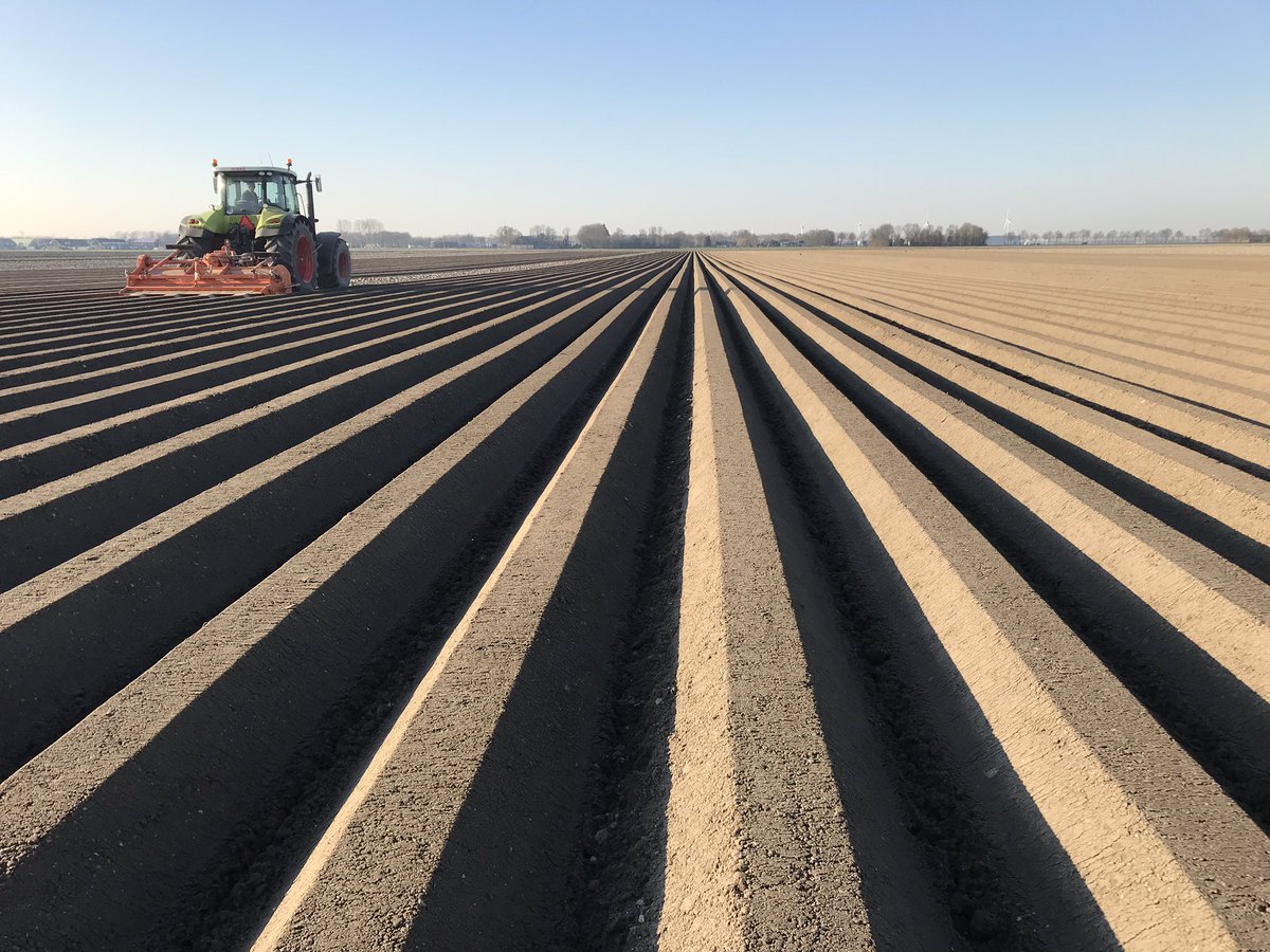 BlitAgro's tweet image. Eerste ronde peen en uien gaan er ook in vandaag. #bangor #hyfive