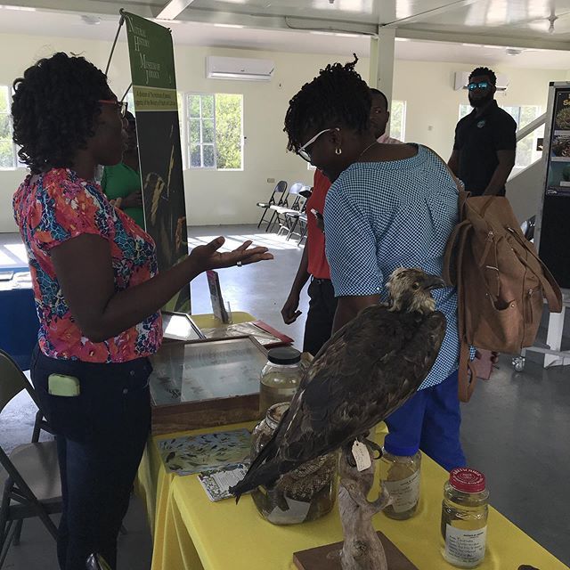 TheEventsSeeker's tweet photo. #ilovenhmjfb.
#ilovenhmjtwitter.
Natural History Museum of Jamaica @youtube https://t.co/VTpzm9M6l1 https://t.co/VbqojvDOQN
