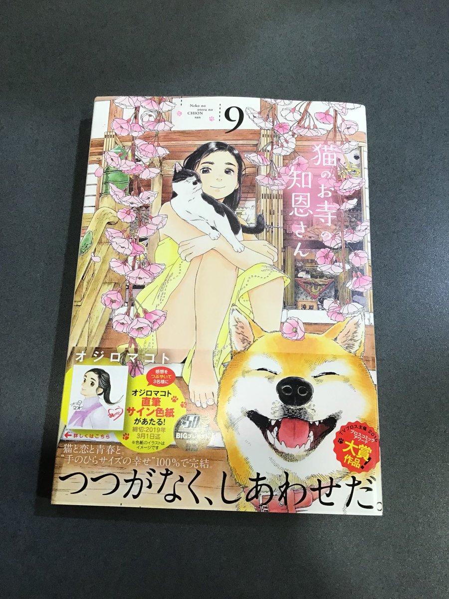 猫のお寺の知恩さん Twitter Search