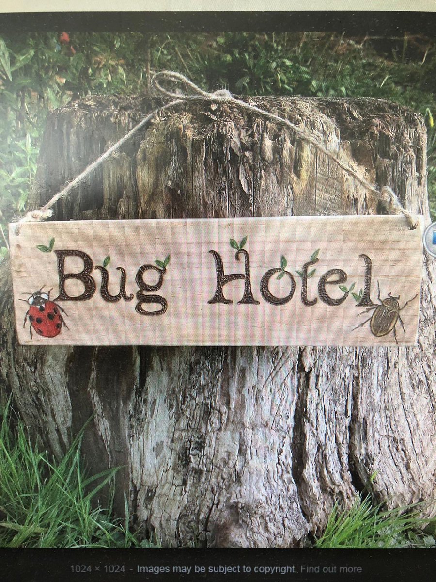 DunbarPrimary's tweet image. After Weir Joinery helped us out last year with our fantastic mud kitchen, we are looking for anyone out there who can help us make some signs (see example photos) for our John Muir Campus garden project? Please contact Mrs Williamson (P1 teacher) if you can 😊
@Weir_kelly