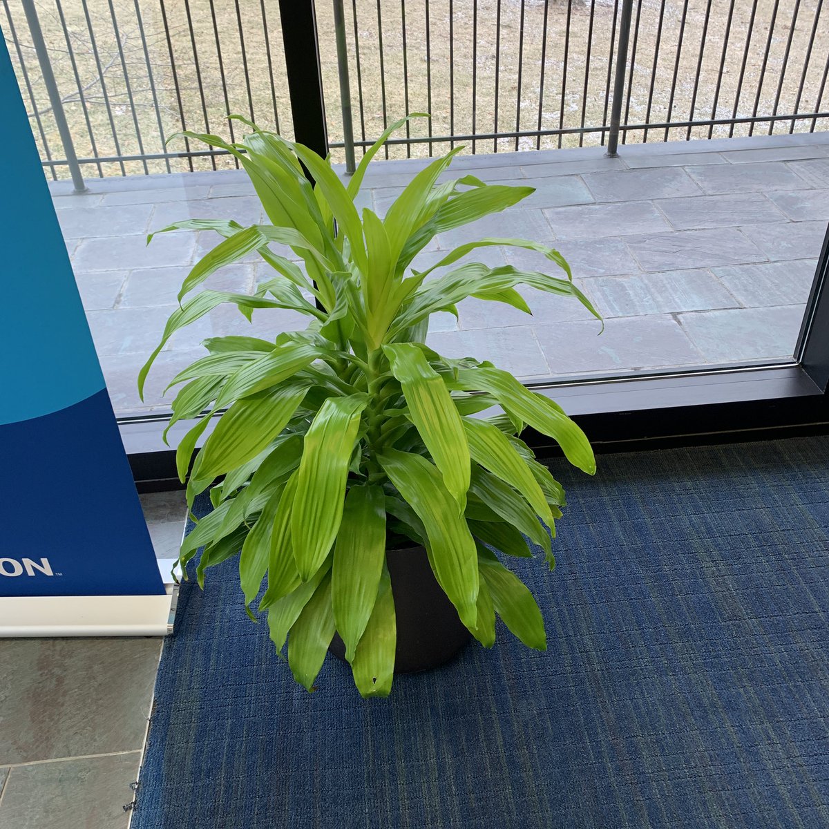 IsaiahK45197177's tweet image. #G2Cplus