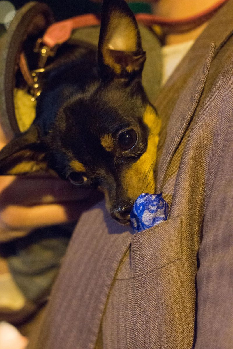 Happy Friday 😊 😋 😎 
📸 : Emily Bowden Photography