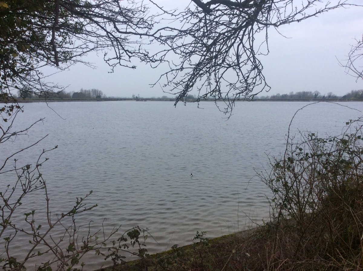 CRTinspectTom's tweet photo. Today on the  #TringReservoirs #GrandUnionCanal

#canalrivertrust #canals #waterways #winter #Marsworth #Tringford #Startops

#Peace &amp; #calm for your own #Wellbeing - #LifesBetterByWater https://t.co/dLF8FUQukh