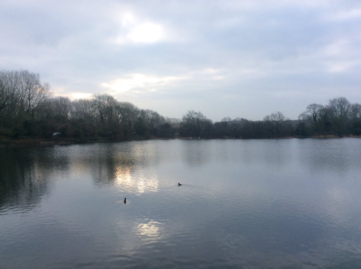 CRTinspectTom's tweet photo. Today on the  #TringReservoirs #GrandUnionCanal

#canalrivertrust #canals #waterways #winter #Marsworth #Tringford #Startops

#Peace &amp; #calm for your own #Wellbeing - #LifesBetterByWater https://t.co/zoQXRrRqVR