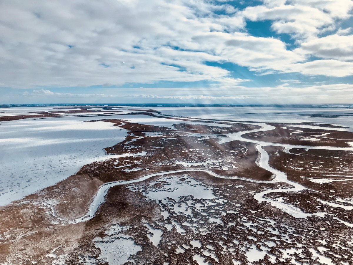 HudsonBayWQMS's tweet photo. And on the other side of the #RedRiver, our #UpperDevilsLake and #LowerDevilsLake sites.
How to decide #whoworeitbetter? #wintervssummer?
#NetleyLibauMarsh #wetlandbeauty https://t.co/2BuDZ2gohF