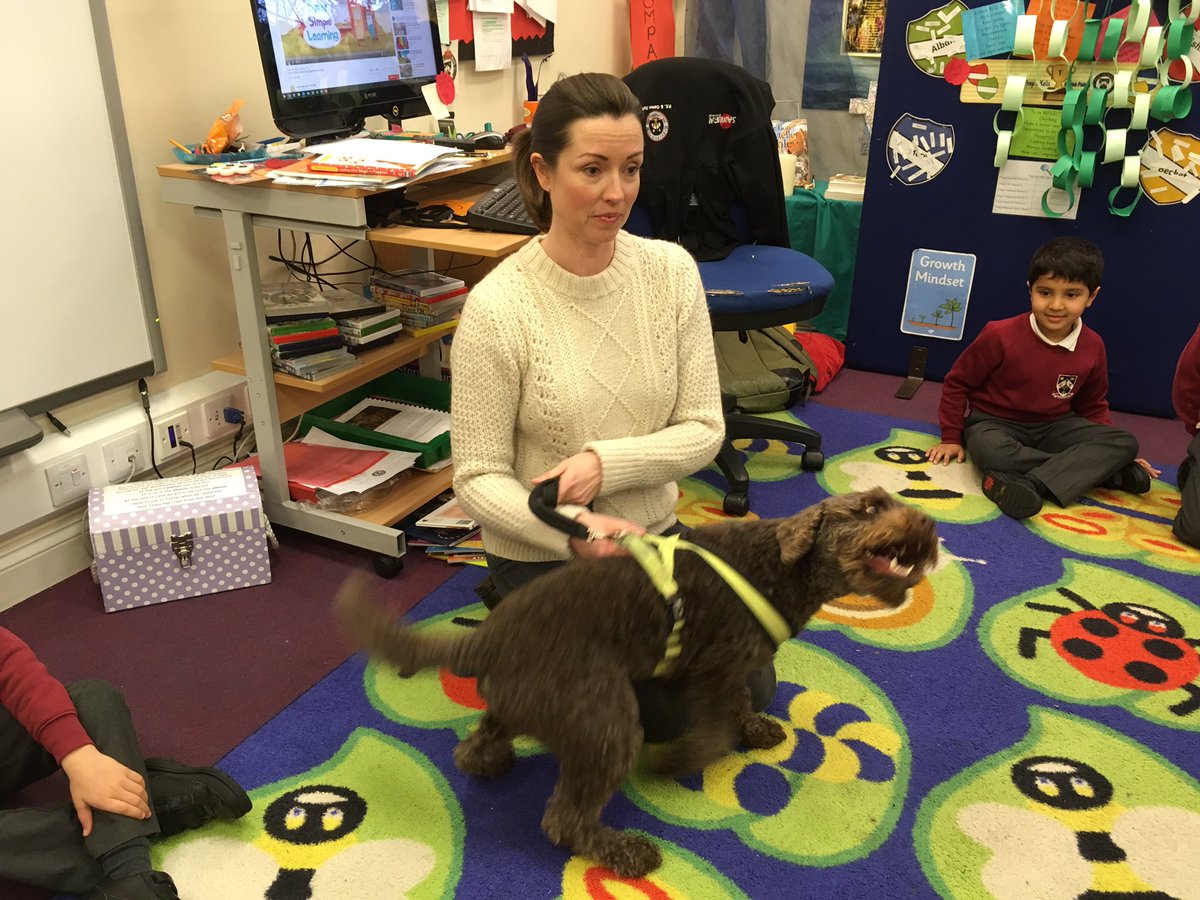 StColumbasLPrep's tweet photo. As part of our Animals topic, #SCCPrepOne were really excited to welcome Bazil the #labradoodle into the classroom. The boys had researched the care of #pets, and asked lots of good questions. https://t.co/2zT7OAkx3Q