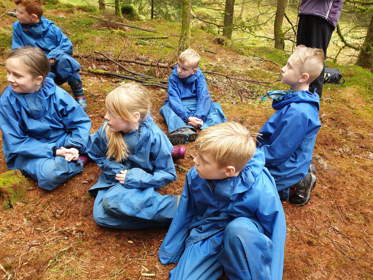 MrsKHclass's tweet photo. Hide and seek in the woods this morning @rlhughesAIM https://t.co/KCTTplkCx0