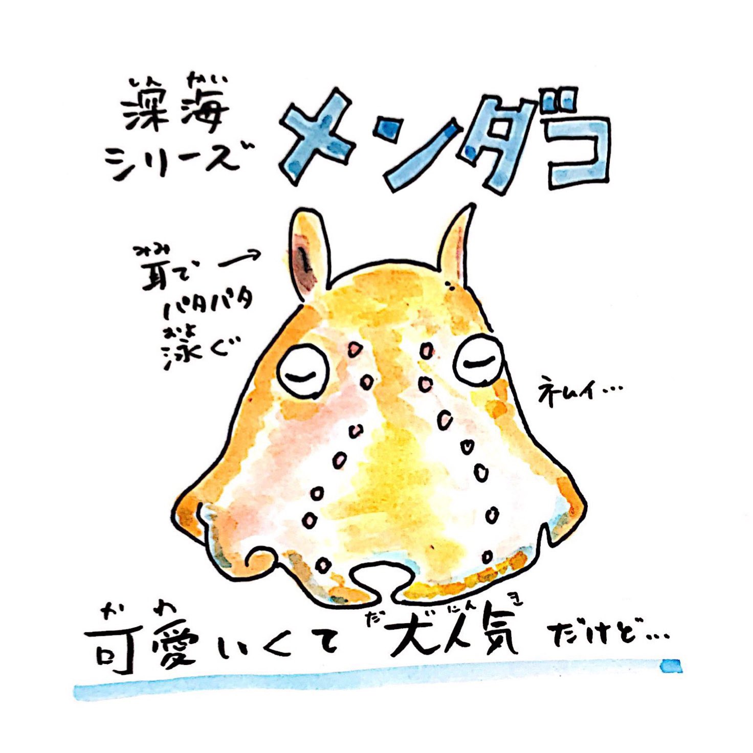 川田一輝 メンダコ 可愛さとのギャップ さかなのおにいさん 深海魚 メンダコ T Co Ci6of1nbrt Twitter