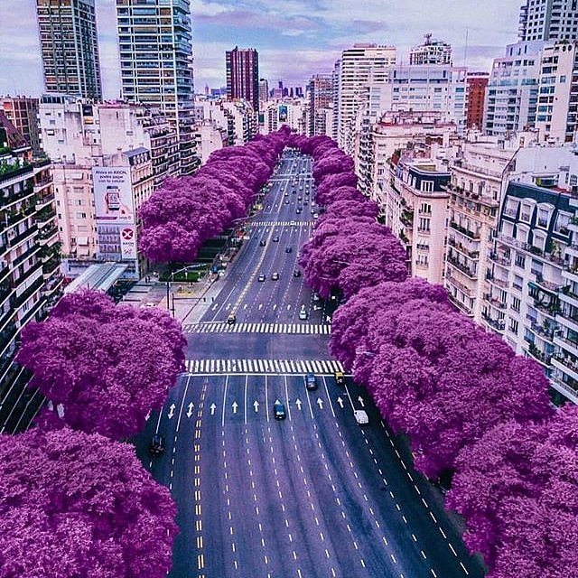 memberstravel's tweet photo. Stop over paying for travel! We can save you thousands. #memberstravel #goexplore #travel https://t.co/3Bf7G6df0m
