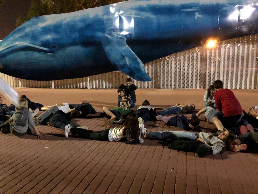 PadreDamianSSCC's tweet photo. Després de dormir entre 🐟 i 🦈, hem pogut 👀 @oceanografic_vl i aprendre sobre les espècies que hi ha i les conseqüències del canvi climàtic! Ara comencem la tornada! Us esperem a les 20h per rebre'ns a la #expediciovalencia 😉 #4diesxveuremon #projecteterra https://t.co/rnoMTzwaDO