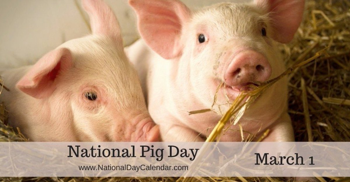 thefarmbabe's tweet photo. Happy #NationalPigDay!

And I'm hanging with friends at @SmithfieldFoods today to learn all about it! 🥓🥓

#NorthCarolinaAg #FriendAFarmer #bacon #ThankAFarmer https://t.co/f2kJfo4y6J