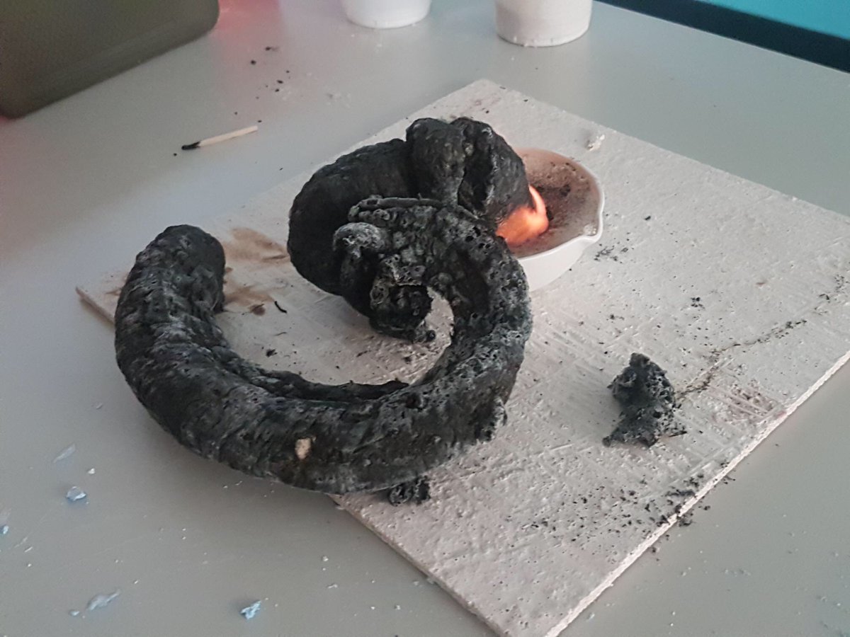 NSB_Science's tweet photo. Watching the fire snake grow in Science ECA #scienceisfun #nsb_secondary  #handson #experiment #burningthingsiscool https://t.co/mXA2G8fiJI
