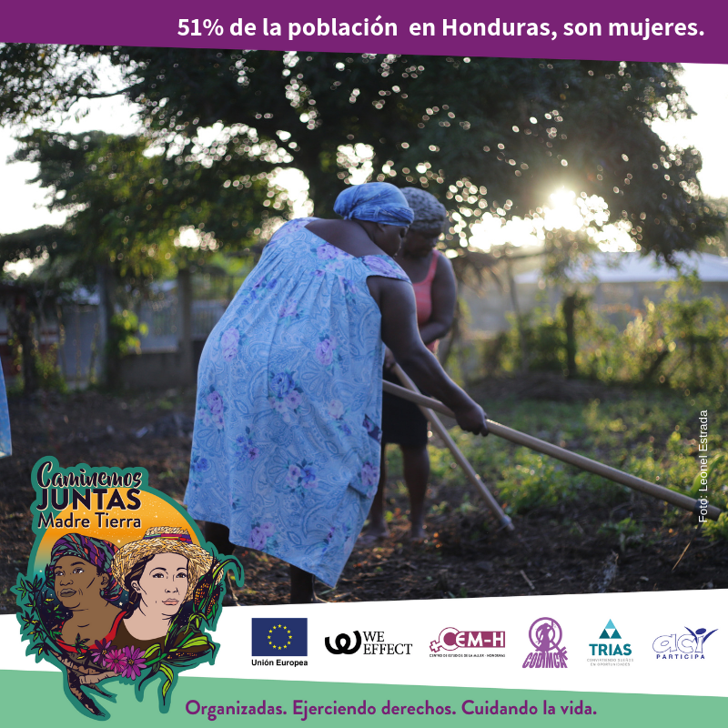 WeEffectLA's tweet photo. 🙆♀️🌿🎋Sabías que en #Honduras las mujeres son alrededor del 51% de la población? #CODIMCA @WeEffectLA @aciparticipa @cemh_h #TRIAS con el apoyo de @UEenHonduras seguimos trabajando para dar respuesta a la desigualdad que enfrentamos #CaminandoJuntasMadreTierra #IgualdadPrimero https://t.co/ESFSYkyKki