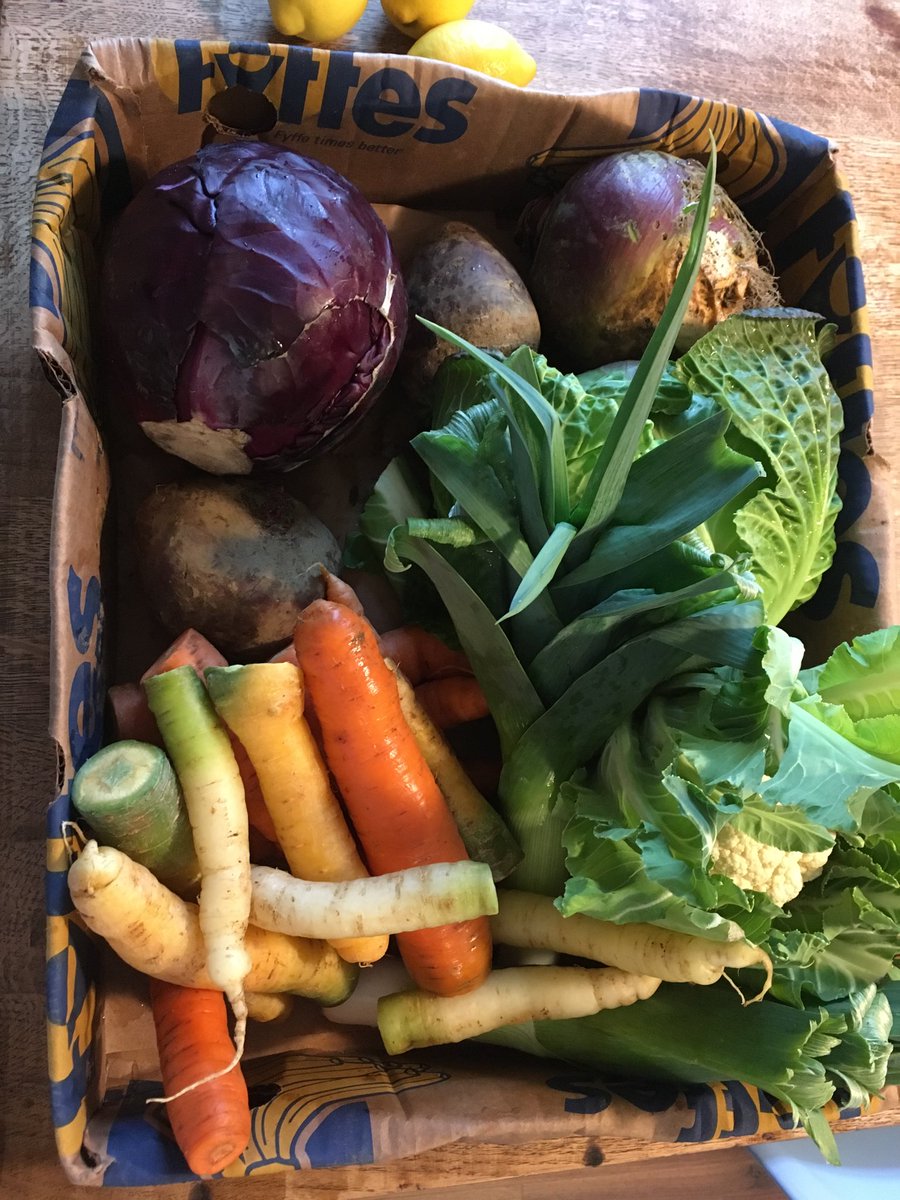 WexPreserves's tweet photo. This is the type of pressie I really love to find outside my gate on a Friday eve π #freshlocalveg https://t.co/ZEXP9Gikze