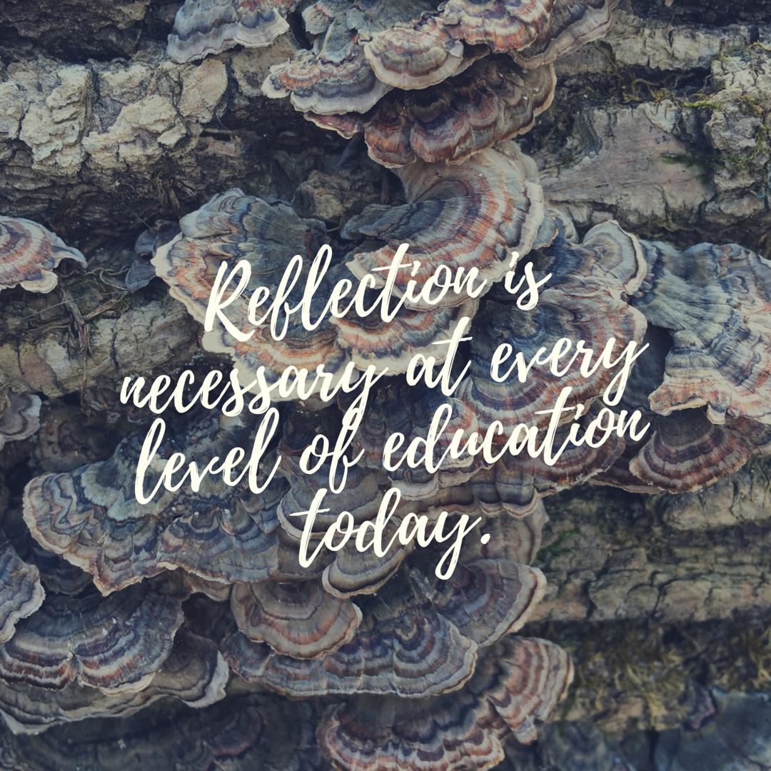 Rebecca Thompson tweet media