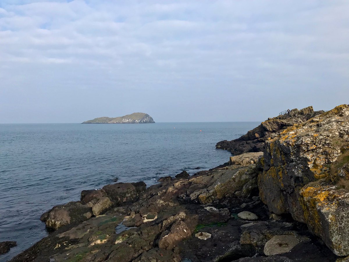 Project Onwards tweet media