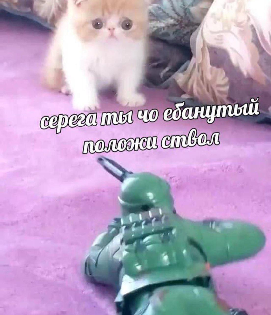 D0lXXd_XcAIreJZ.jpg:large