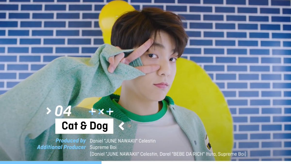 Cat & Dog TXT