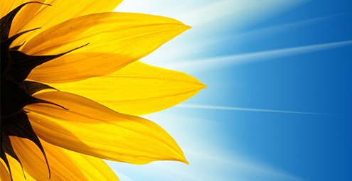 Positive Psychiatry Reminds Patients Of Their Strengths. bit.ly/2fSTlpv #addiction #rehab #recovery