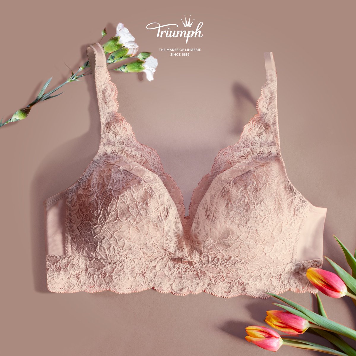triumph bra shop