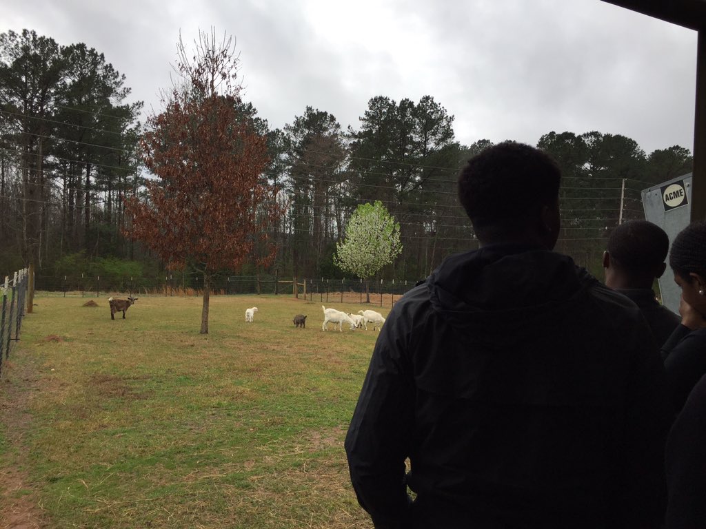 MrsLauraAnglin's tweet image. Lanett High 10th graders are exploring CTE options @chambers_tech! #communitypartnerships #careerexploration #4yearplanning