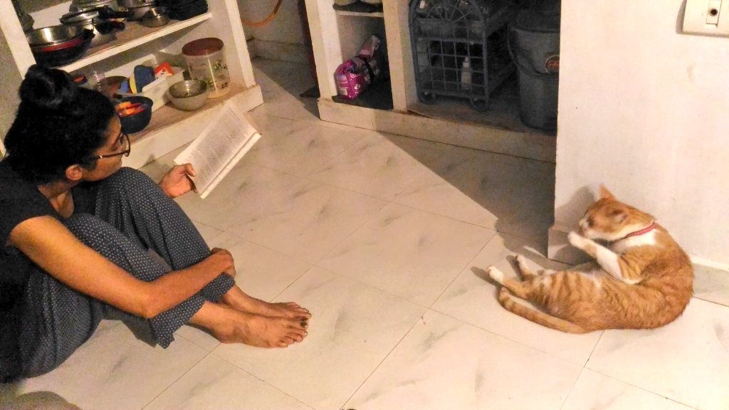 Poet_Manushi's tweet image. #reading_time #group_study #cats_love #bullet #malavika 🐱