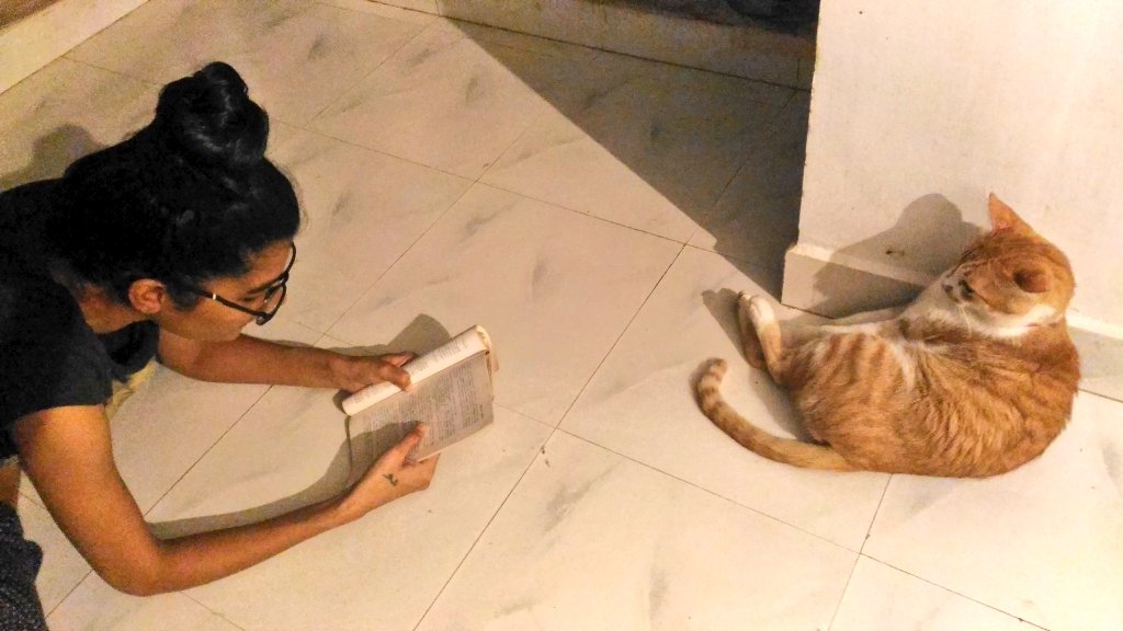 Poet_Manushi's tweet image. #reading_time #group_study #cats_love #bullet #malavika 🐱