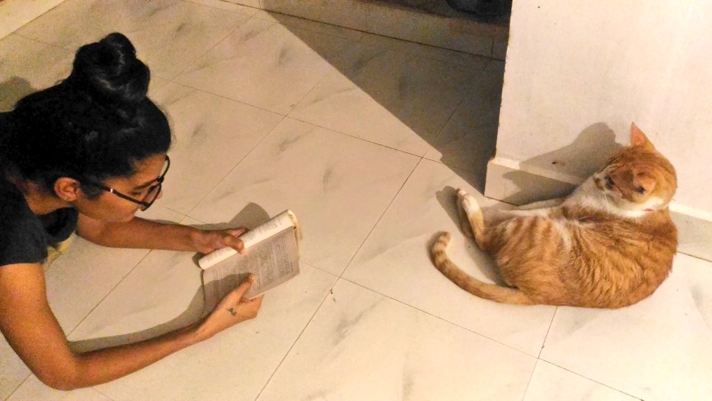 Poet_Manushi's tweet image. #reading_time #group_study #cats_love #bullet #malavika 🐱