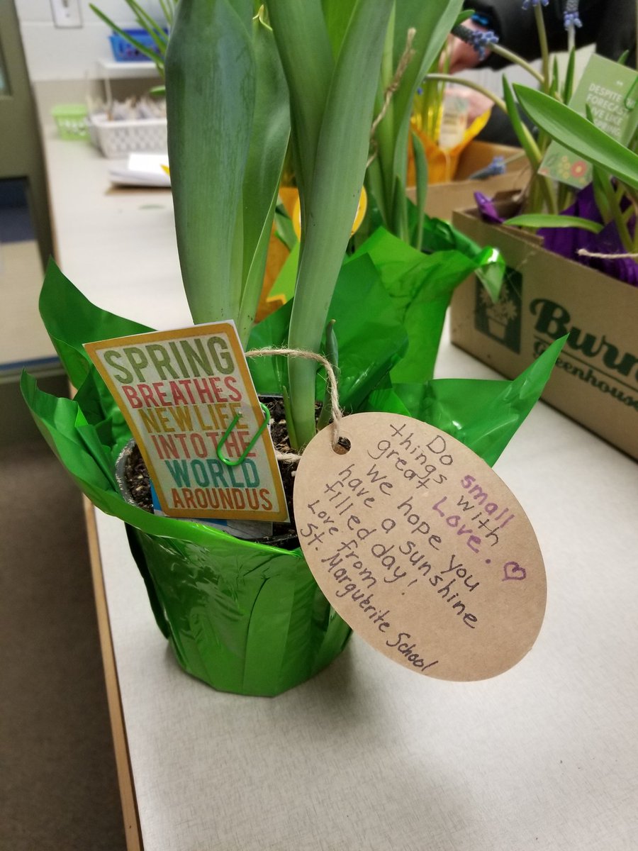3Carrobourg's tweet photo. We Sowed God's Word as a staff this morning! Our group put "Spring in Your Step" with flowers to bring happiness around the community ❤ https://t.co/iItwclGER6