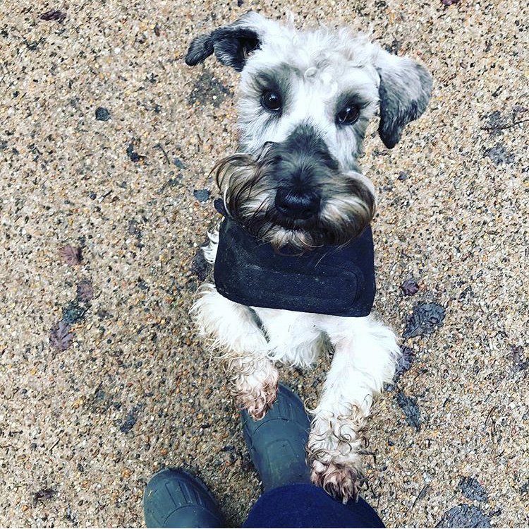 SixAgencyUK's tweet photo. In December we teamed up with @StMungos to raise awareness about the great work they do to get people back on their #OwnTwoFeet. We asked you to get creative and send in pictures of your feet to win a prize. Our winners are @CGBadley and Daisy Dog (Insta). We'll be in touch! https://t.co/cJKNXBI4Yt
