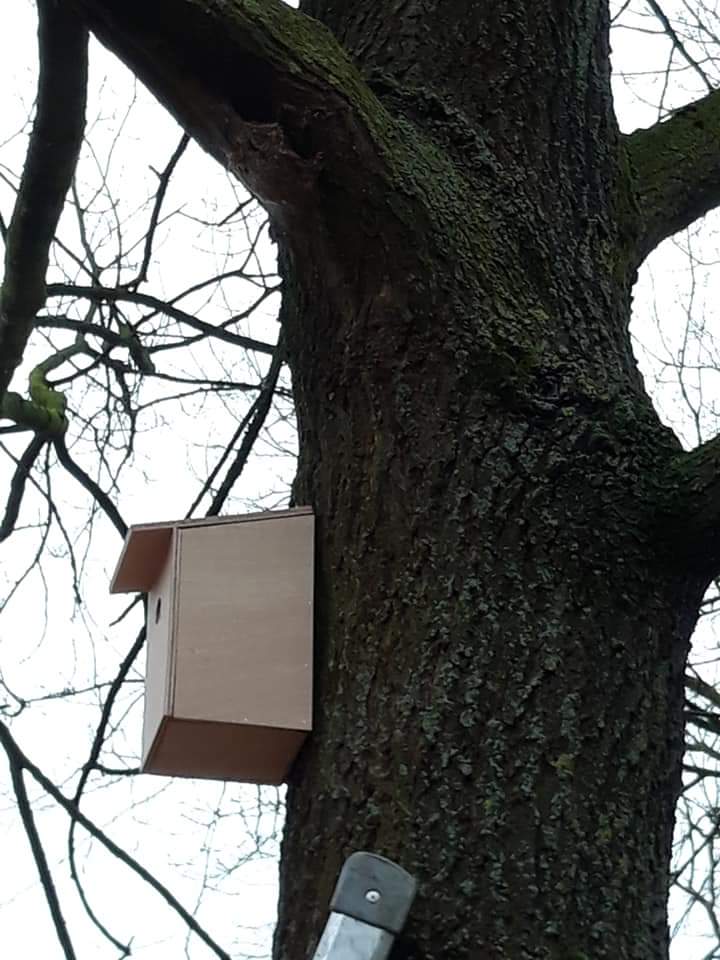 Vandaag was een mooie dag in #Boswinkel voor mezen, insecten, kinderen van #BasisschoolEuropa en <a href="/JurgenvanHoudt/">Jurgen van Houdt</a>. En hopelijk een slechte dag voor #eikenprocessierupsen. Met dank aan #StadsdeelbeheerWest. #insektenhotel #mezenkast #biodiversiteit