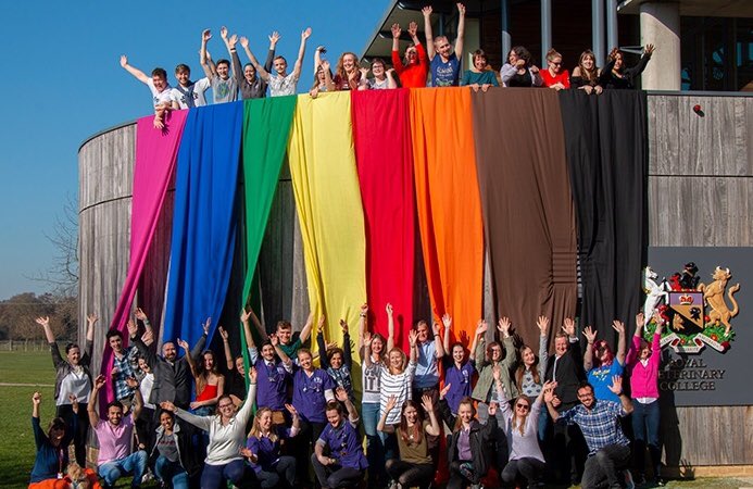 StuartReid_RVC's tweet photo. .... With pics from both campuses....
RVC marks the end of #LGBTHistoryMonth 2019, with two rainbow events to celebrate diversity and raise awareness of the new LGBT+ Staff & Allies Network #RVCisOpen #lgbt #equality #LGBTHM #LGBTHM2019
https://t.co/2f2AtxkyYT https://t.co/tyD9XisPFW