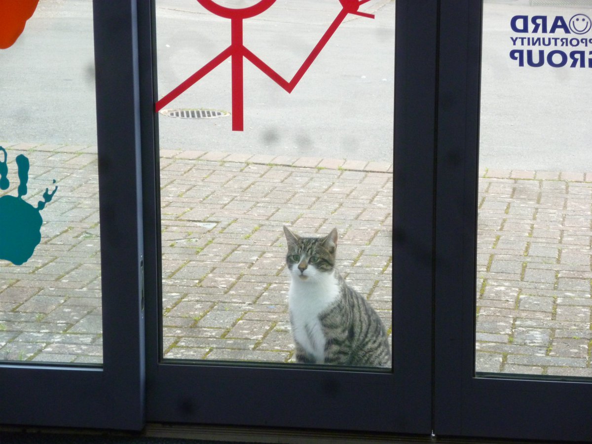 springboard_og's tweet photo. Someone else looking for a session at Springboard #SENDCAT https://t.co/4svgacDaOO