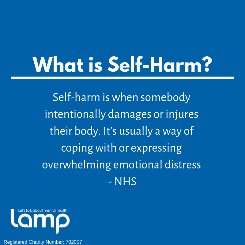 LAMPCharity_'s tweet photo. Misconceptions of self-harm, i.e., assuming that those who self-harm want to end their life, create misunderstandings as to why individuals self harm in the first place. Providing information gives people the knowledge to dismantle misconceptions like these #SelfHarmAwarenessWeek https://t.co/raSSDIFe23