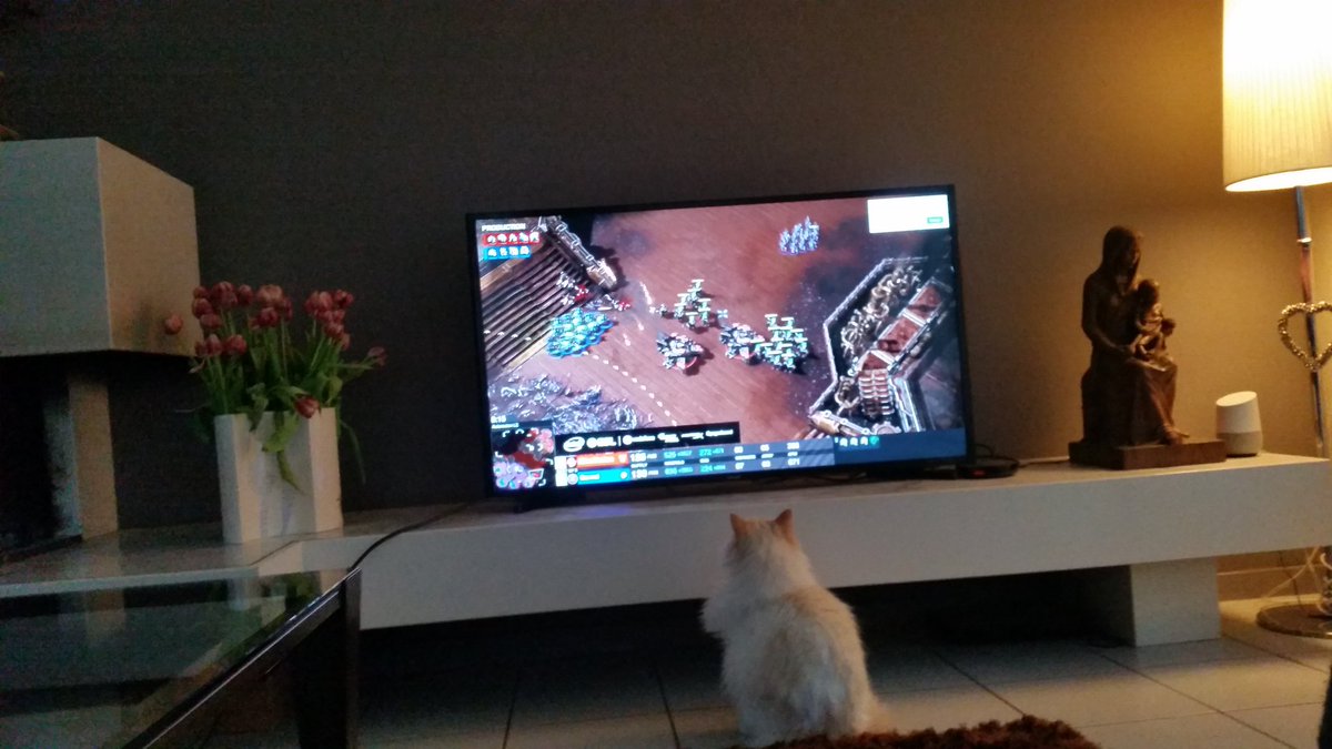 Jos de Kroon tweet media