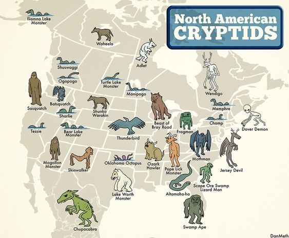 The "Turtle Lake Monster" has been identified in the attached North American Crytids map.  Have you seen it?  Let"s name the Monster?  Stop by and pick up a form at one of our stores and put in your suggested name! Prize draw on March 27, 2019