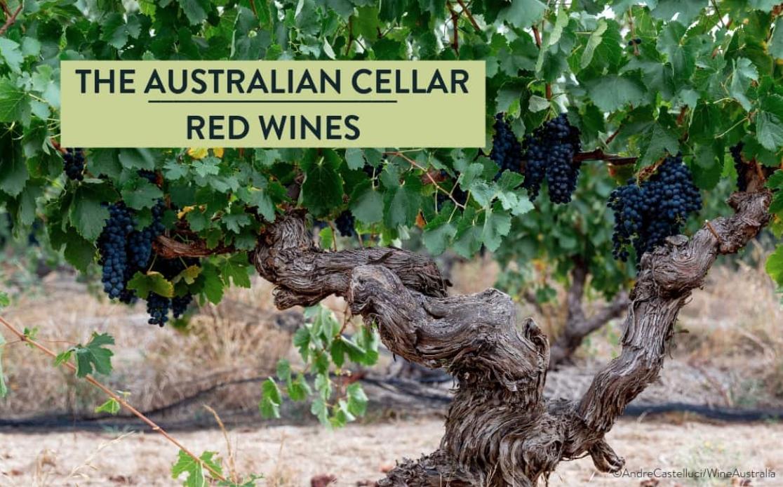 The Australian Cellar tweet media