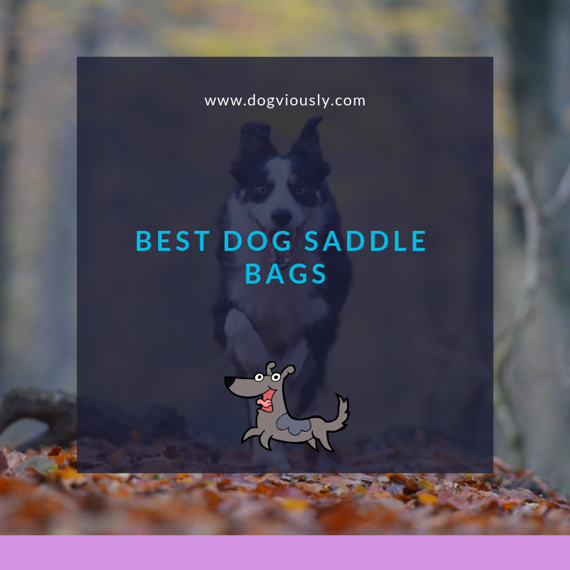 dogviously's tweet image. Getting your dog involved in the action-packed weekend seems like all fun and games until you think about who will have to carry his water and bowl around for him! Well, what if I told you that he can now do it himself – with the help of a dog saddle bag! goo.gl/srEJcJ