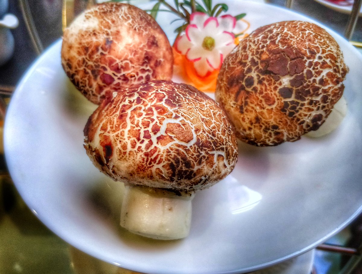 wdlea's tweet photo. Last night we were invited to @BhmWingWah by @PaulFulford &amp; @dorianwcchan 
Paul has been telling everyone how good it is....he's right!
A few favourites from last night, great cooking, service &amp; venue https://t.co/4rlEPwg8Wm