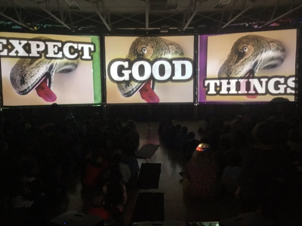 Elora Erdman tweet media