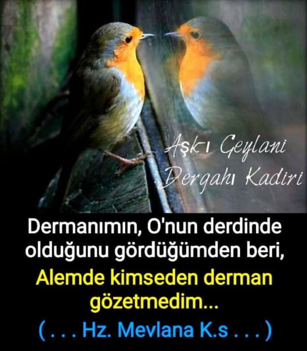 SevgiKom's tweet photo. Bu âlemde her gece ne göynekler dikilir,
Kimini gelenler, kimini de gidenler giyer,
Her gün, nice sevinçler ve hüzün dolar dünyaya,
Nice dertler ve acılar kederle karışır toprağa... https://t.co/yyGsbD5XQk