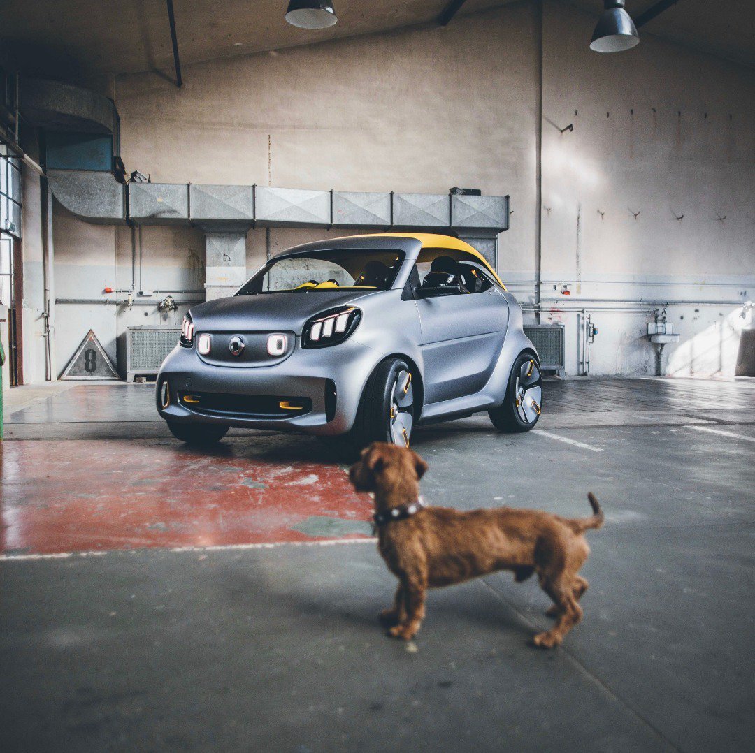 smart_worldwide's tweet photo. Eyes on the prize. Meet the all-new smart forease+, a refined showcar with all the freedom of its predecessor, the smart forease.
📷 @lotter_cars
#GIMSSWISS #GIMS2019 #cardesign #smartcar #smartforeaseplus #rooflove #fullyelectric #soextra https://t.co/rmjcOC027N