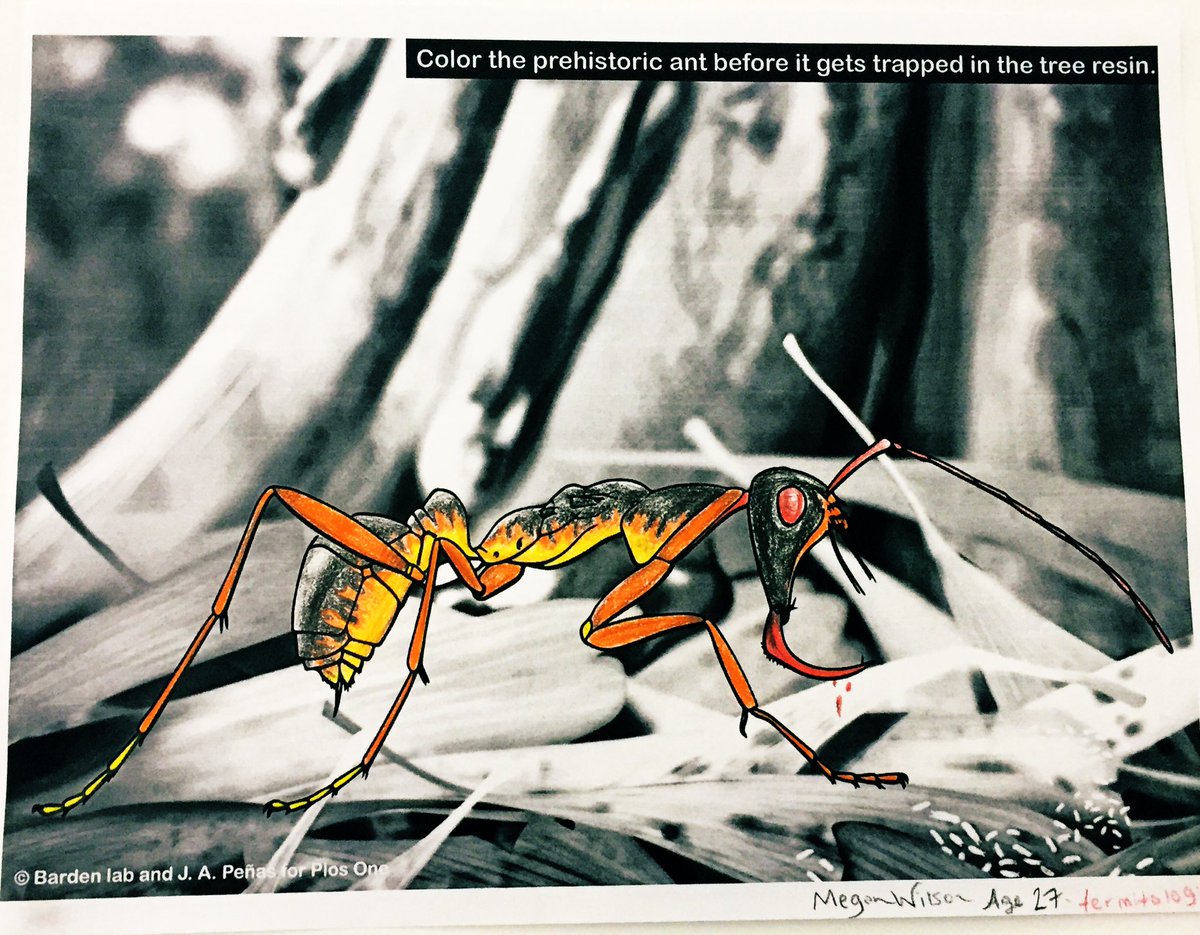 eusocialmeg's tweet photo. When you visit @bardenlab , it’s customary to color a #hellant for the wall . #rockabilly #ant https://t.co/NppsrMkr60