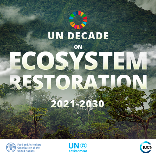 UN Decade on Ecosystem Restoration  Internationale Klimaschutzinitiative  (IKI)