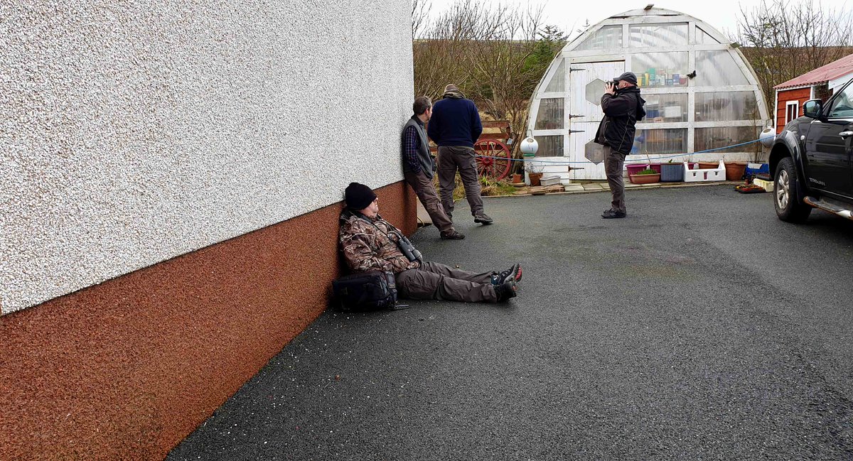 MarkDowie's tweet photo. The lows, and highs, of a twitch... #Owl #AWOL #Shetland #PutItThere https://t.co/HYWdn5Nnff