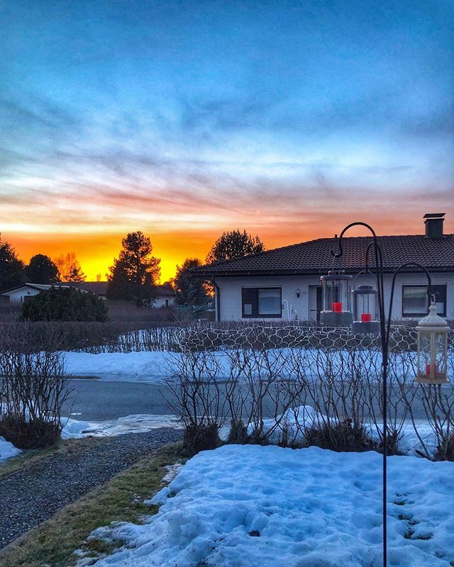 ranjanamedia's tweet photo. #mobilephotography #finland #pori #visitpori #visitfinland #evening #beautyful #winter #snow #endofwinter #cool #loveit #home #windowview #sunset #road #photography #photographylovers #insta @ourfinland https://t.co/KXO7eKxYOs https://t.co/mHACTNwBeT