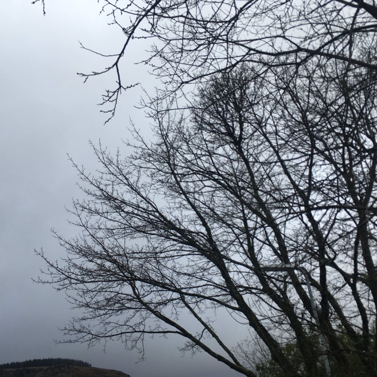 blog_untitled's tweet photo. Bittersweet.. 

#BloggersRequired #BloggerBabesRT #BloggerBabesRT #bloggerstribe @BloggingBabesRT @BloggerLS @theclique_uk @bloggingbeesrt @allthoseblogs @BloggersTribe https://t.co/IdRpOzC1Hs
