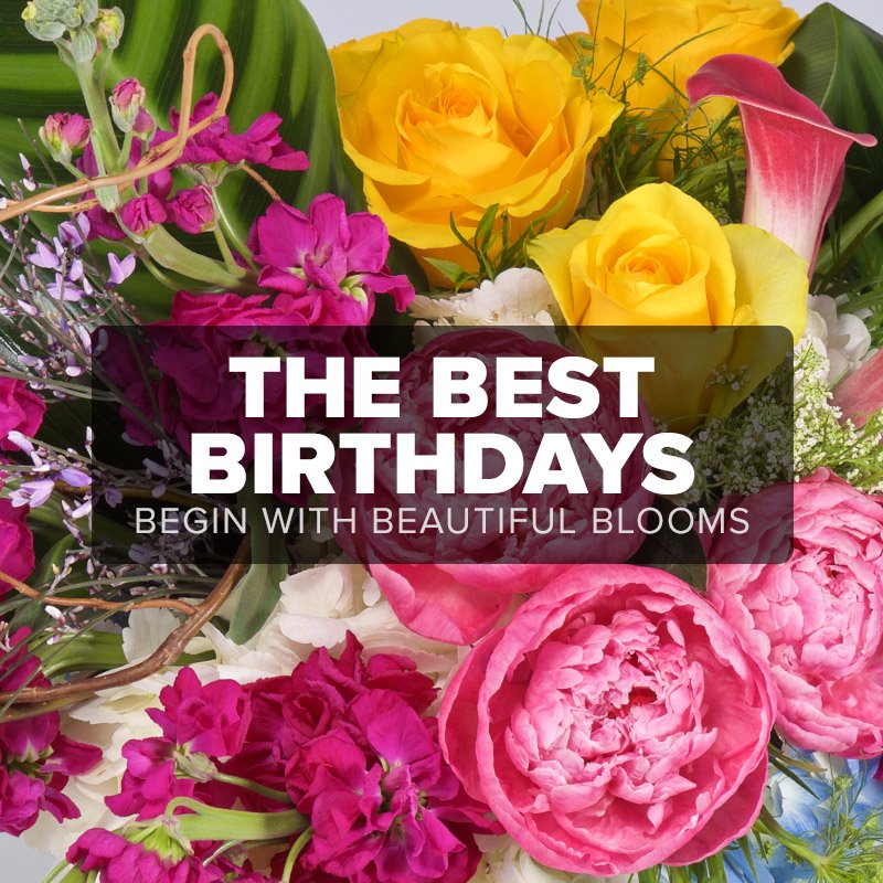 NortonsFlorist's tweet photo. There is no better way to let someone know you remembered their special day than happy birthday flowers! Shop our collection: https://t.co/UjIQFXV7py! 🌸💚�� https://t.co/jd4vub9aaO