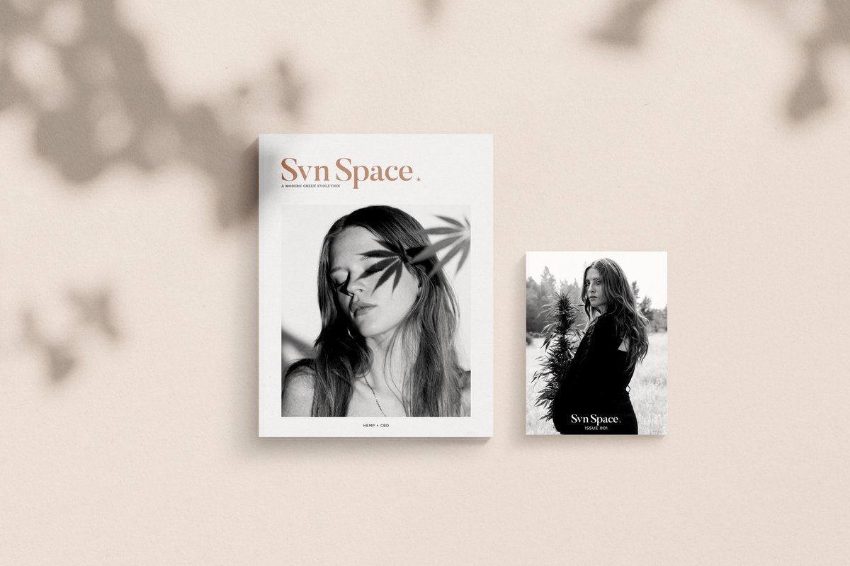 Svn Space tweet media